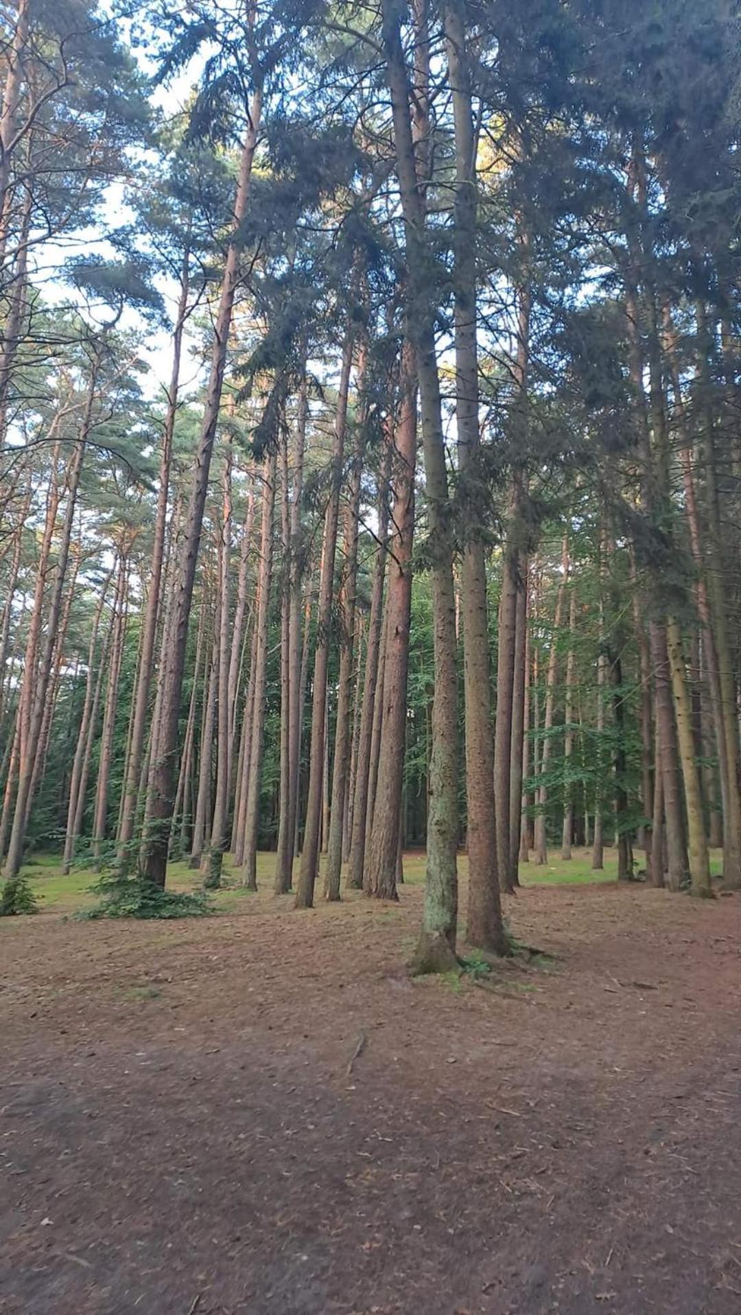 Pobierowo Baltic Apartaments D5 Экстерьер фото