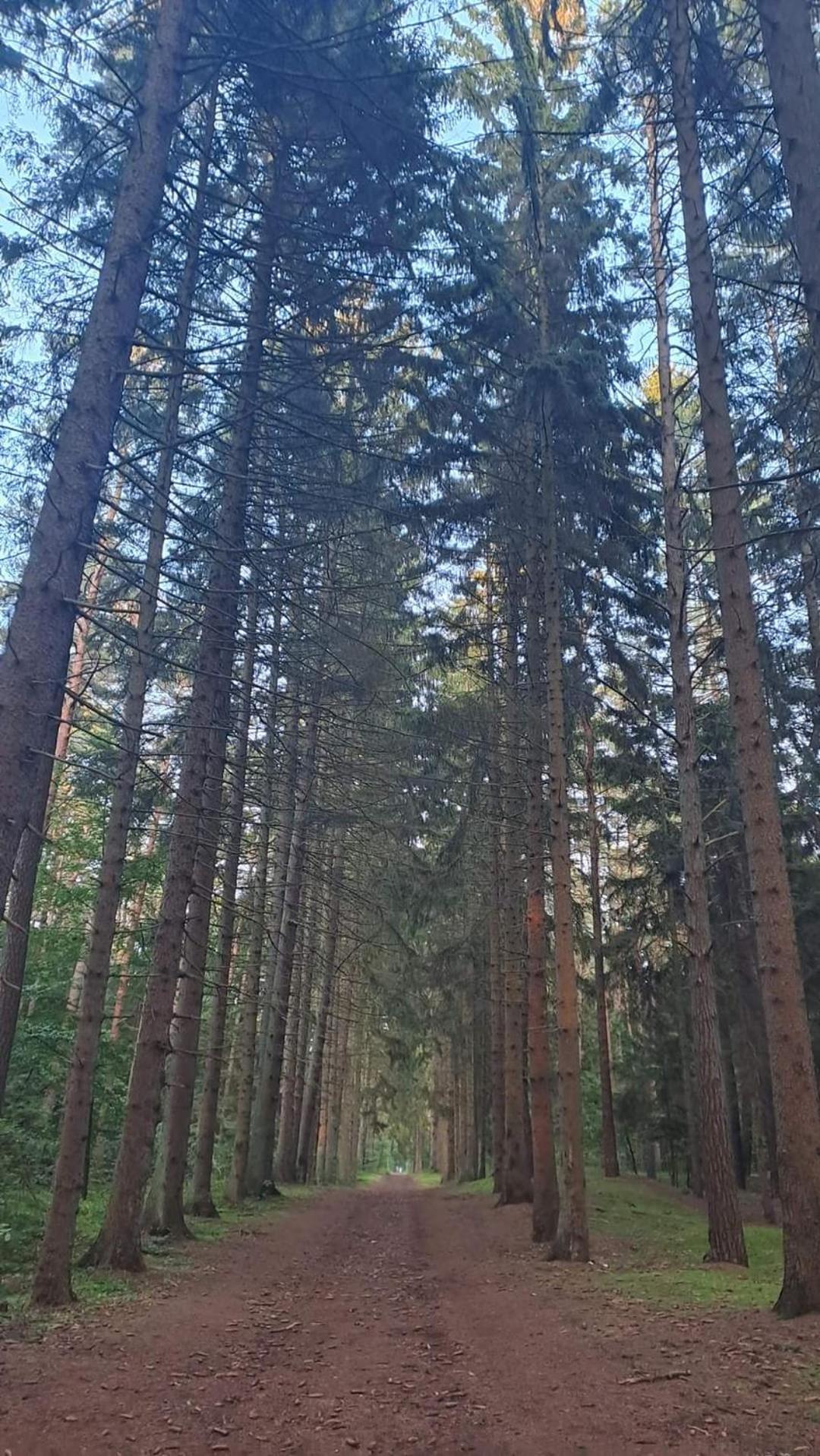 Pobierowo Baltic Apartaments D5 Экстерьер фото